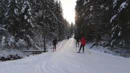 Kolla staktekniken